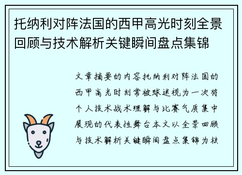 托纳利对阵法国的西甲高光时刻全景回顾与技术解析关键瞬间盘点集锦